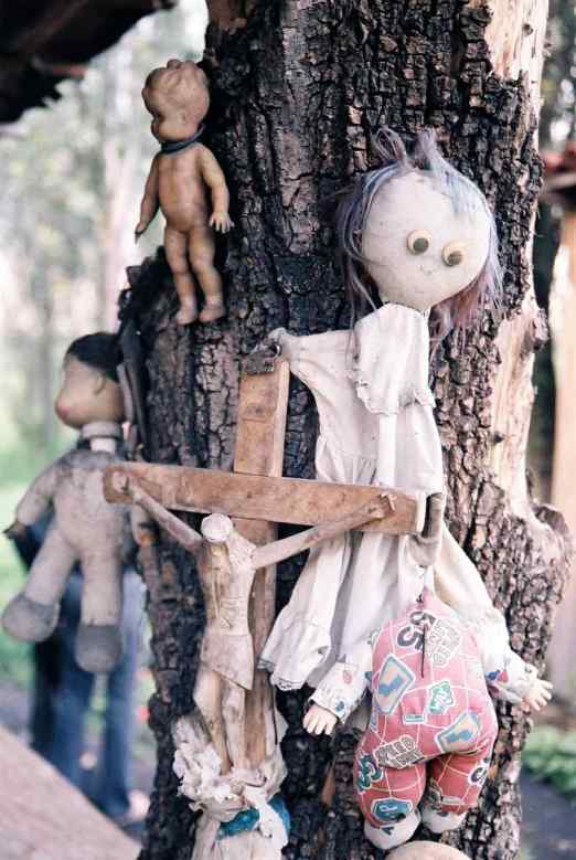 mexique-daniel-fohr-google-wordpress-c