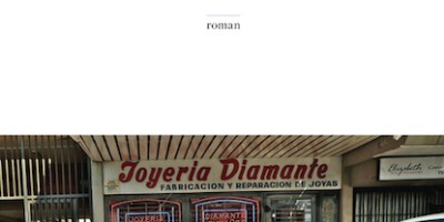 couverture-roman-l'éclair-silencieux-catatumbo-